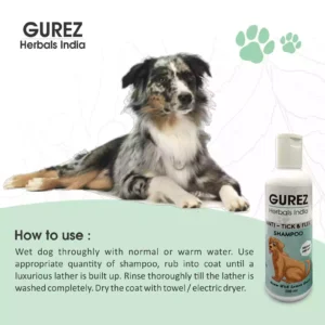 best dog shampoo for dogs