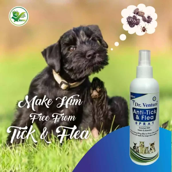 flea shampoo for dogs