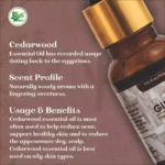 cedar oil essential oil