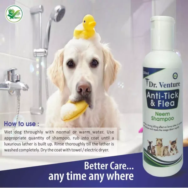 good flea shampoo for dogs