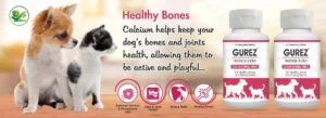 Calcium Chewable Tablets For Dogs And Cats