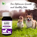 dog vitamin tablets