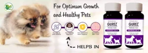 Chewable Multivitamin Tablets For Dogs And Cats