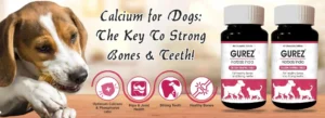 Calcium Chewable Tablets For Dogs And Cats
