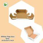 3-Ply White Flap Box 4.5x3x1 Inch