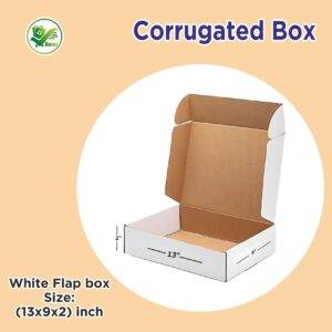 3-Ply White Flap Box 13x9x2 inches for shipping and storage – Eco-friendly and durable packaging solution